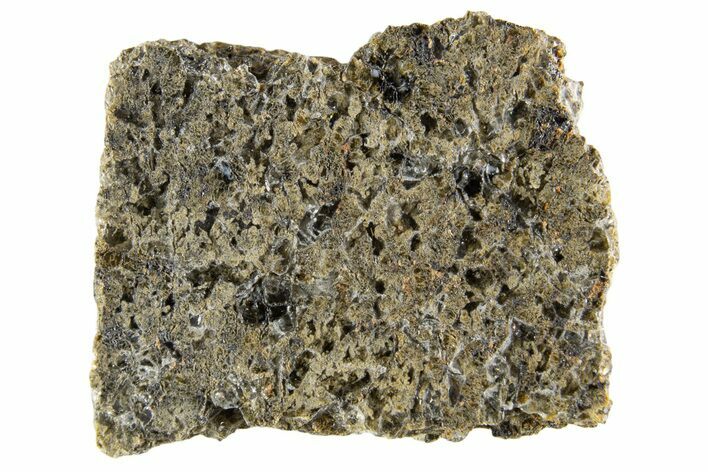 Martian Shergottite Meteorite ( g) Slice - NWA #335324